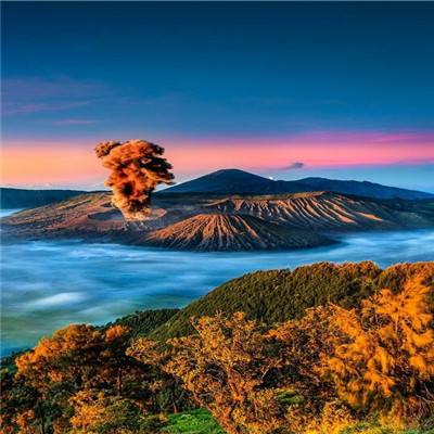 世界异化之后内购破解版下载