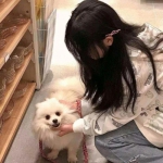 千年游戏盒子软件下载安装