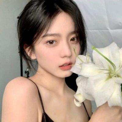 圣域对决游戏破解版下载